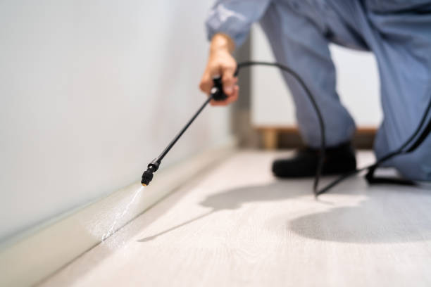 Licensed Pest Control service in Mayfield, PA - Show Me Pest Control