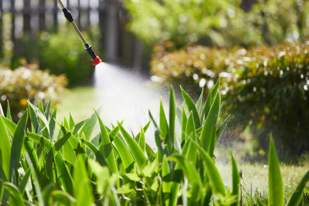 24/7 Emergency Wasp Removal experts in Mayfield, PA