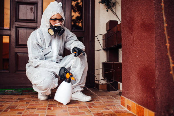 Reliable Wasp Removal contractor in Mayfield, PA by Show Me Pest Control